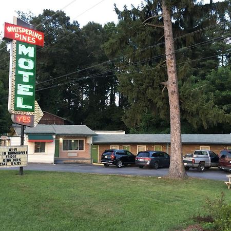 Whispering Pines Motel - Asheville Exterior foto