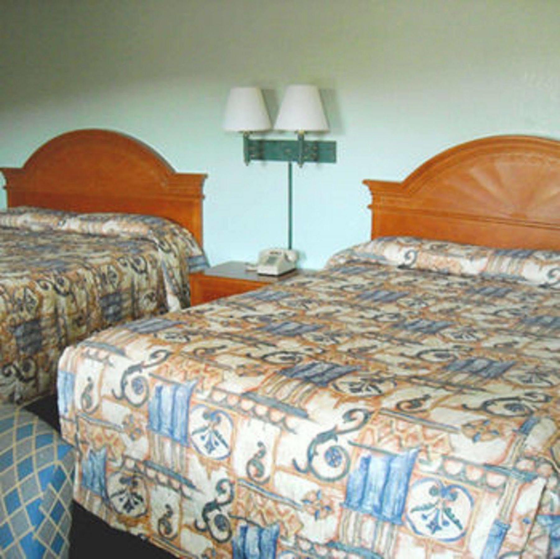 Whispering Pines Motel - Asheville Habitación foto